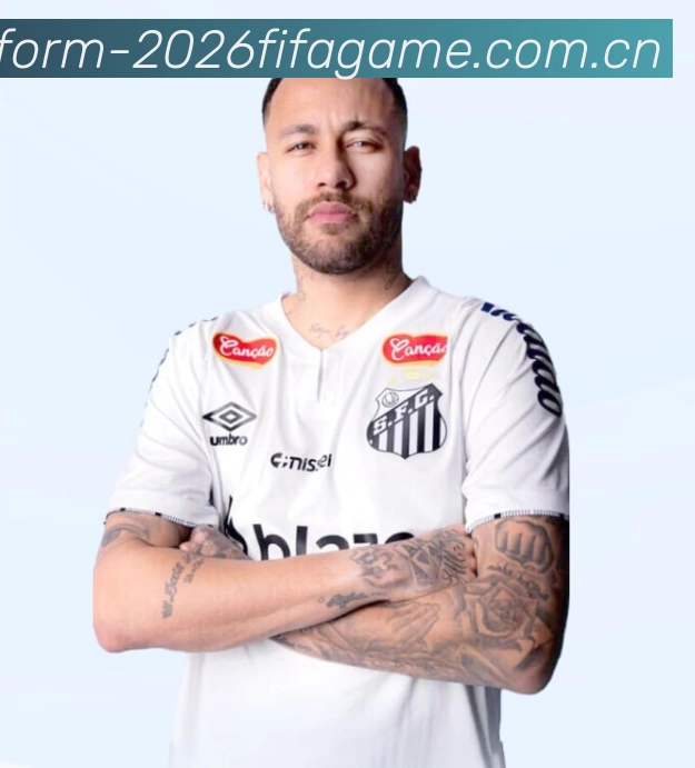 2026世界杯数据服务生态